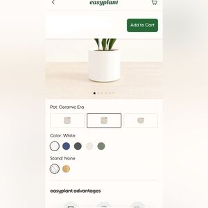 Easy plant self water white medium size pot plant